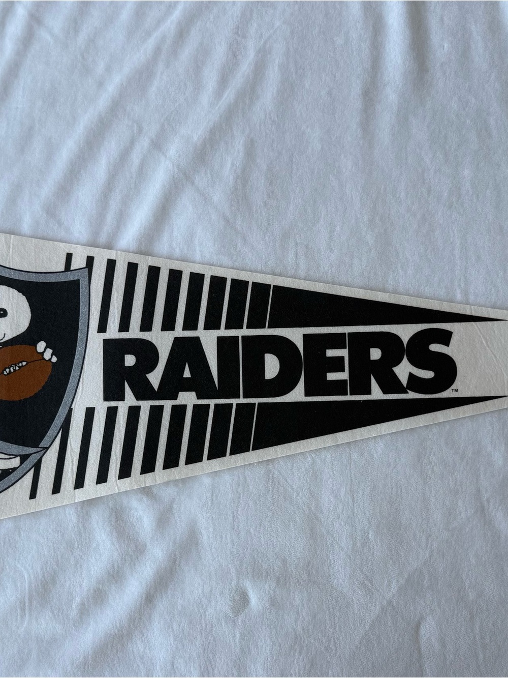 Vintage Riders felt pennant with snoopy